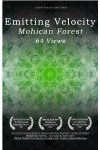 Emitting Velocity: Mohican Forest